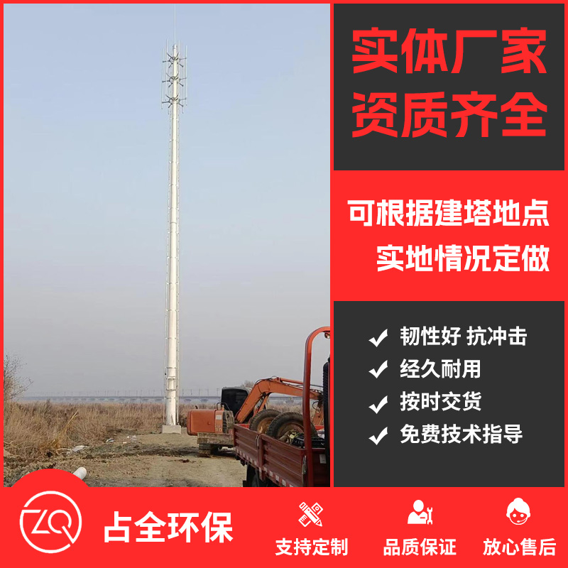 湛江工程案例
